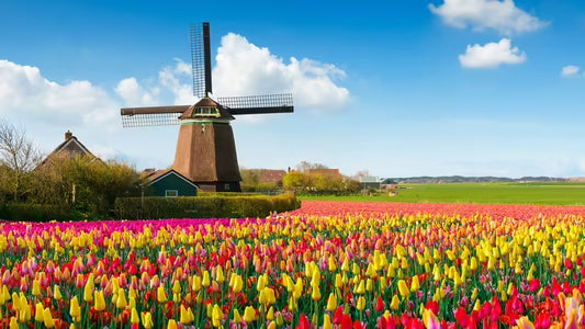 lente in Nederland