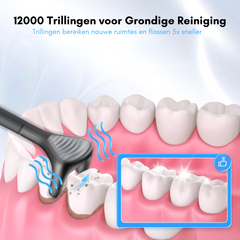 HAIDU Elektrische Flosser